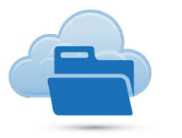 SecureFilePro™ Login Portal
